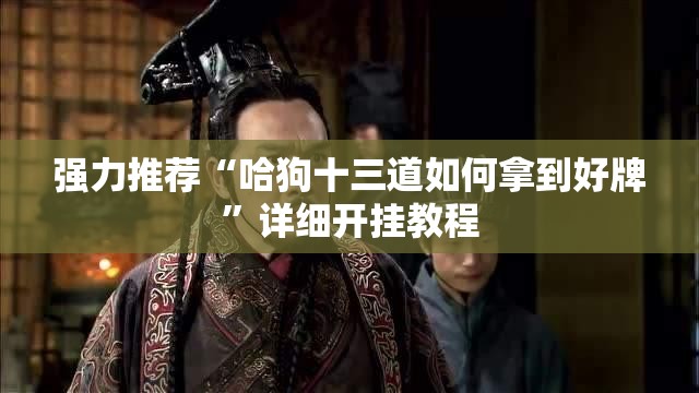 强力推荐“哈狗十三道如何拿到好牌”详细开挂教程