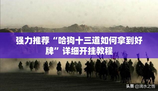 强力推荐“哈狗十三道如何拿到好牌”详细开挂教程