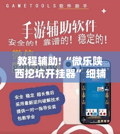 教程辅助!“微乐陕西挖坑开挂器”细辅助教程分享