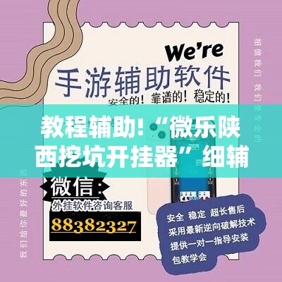 教程辅助!“微乐陕西挖坑开挂器”细辅助教程分享