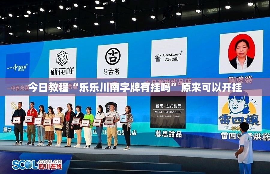 今日教程“乐乐川南字牌有挂吗”原来可以开挂