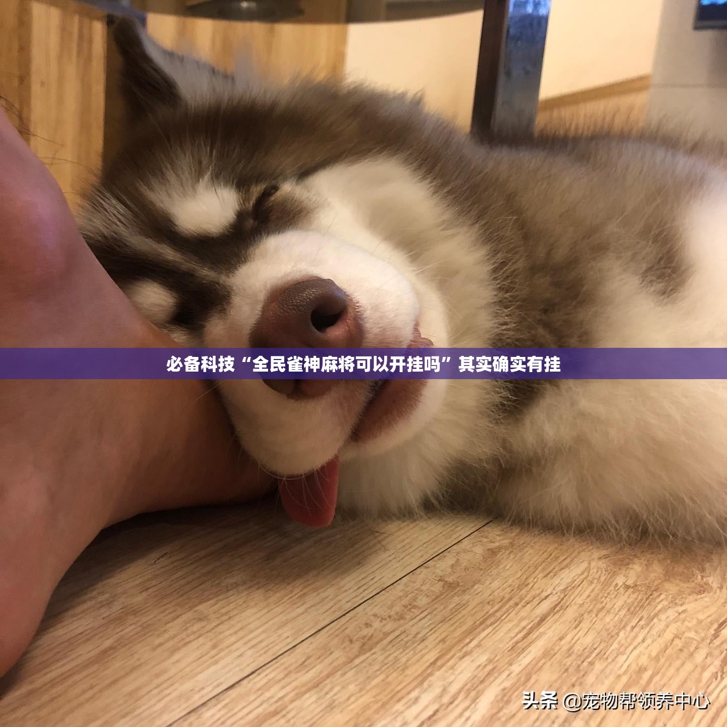 必备科技“全民雀神麻将可以开挂吗	”其实确实有挂