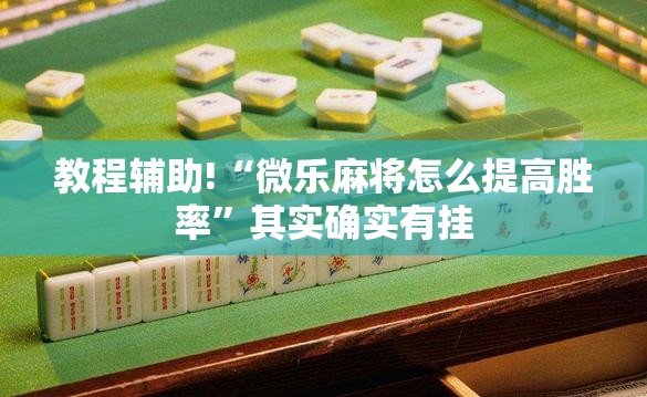 教程辅助!“微乐麻将怎么提高胜率”其实确实有挂