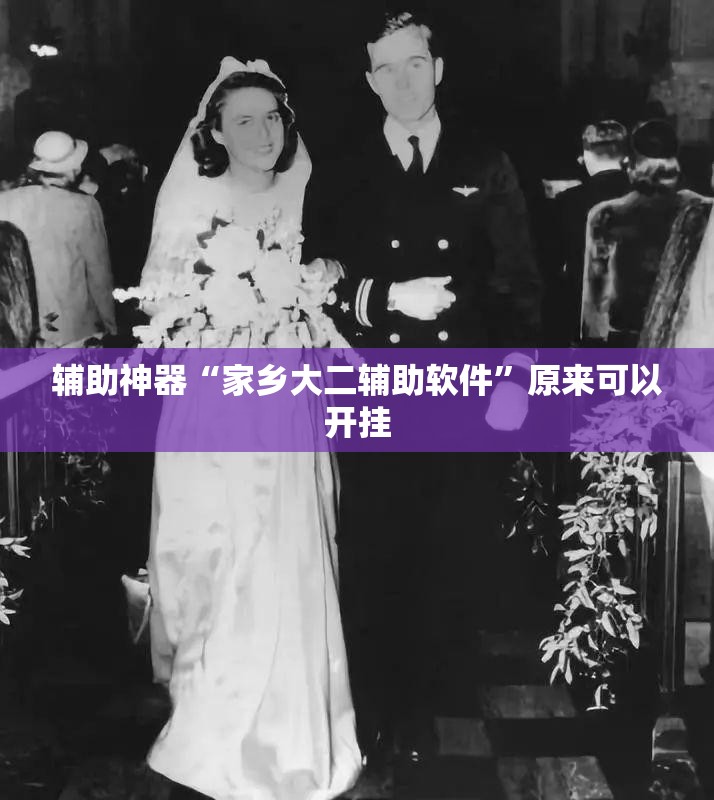 辅助神器“家乡大二辅助软件	”原来可以开挂
