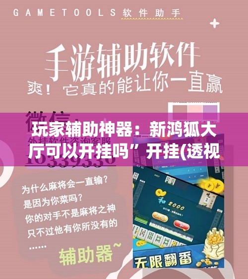 玩家辅助神器：新鸿狐大厅可以开挂吗”开挂(透视)辅助神器
