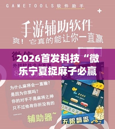 2026首发科技“微乐宁夏捉麻子必赢神器是真的吗”(辅助神器)开挂详细教程
