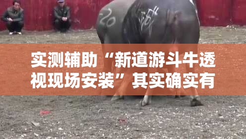 实测辅助“新道游斗牛透视现场安装”其实确实有挂