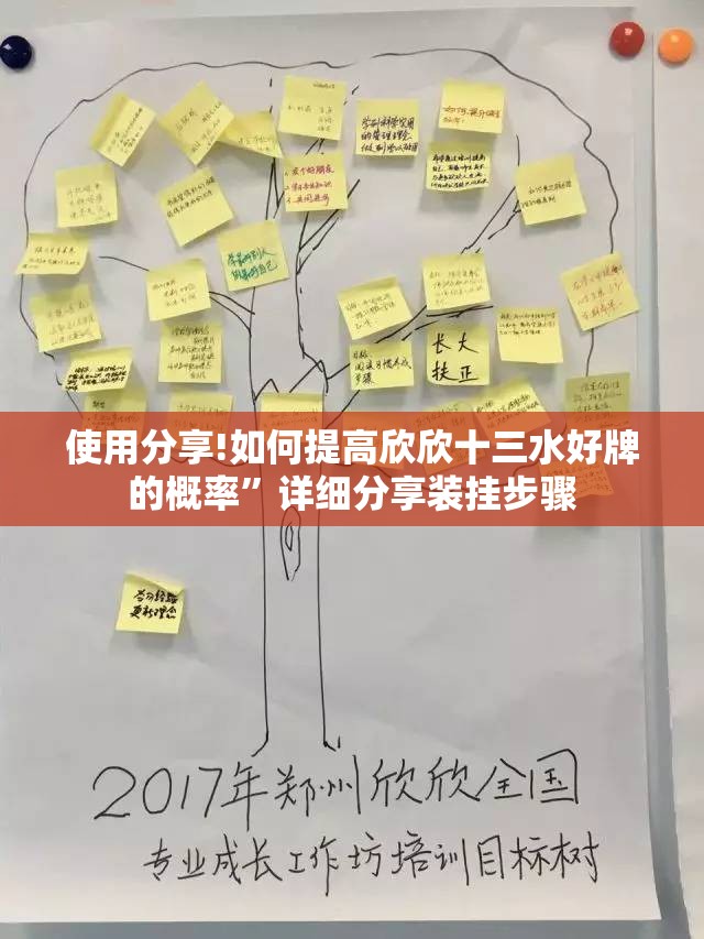 使用分享!如何提高欣欣十三水好牌的概率”详细分享装挂步骤