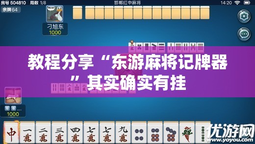 教程分享“东游麻将记牌器”其实确实有挂