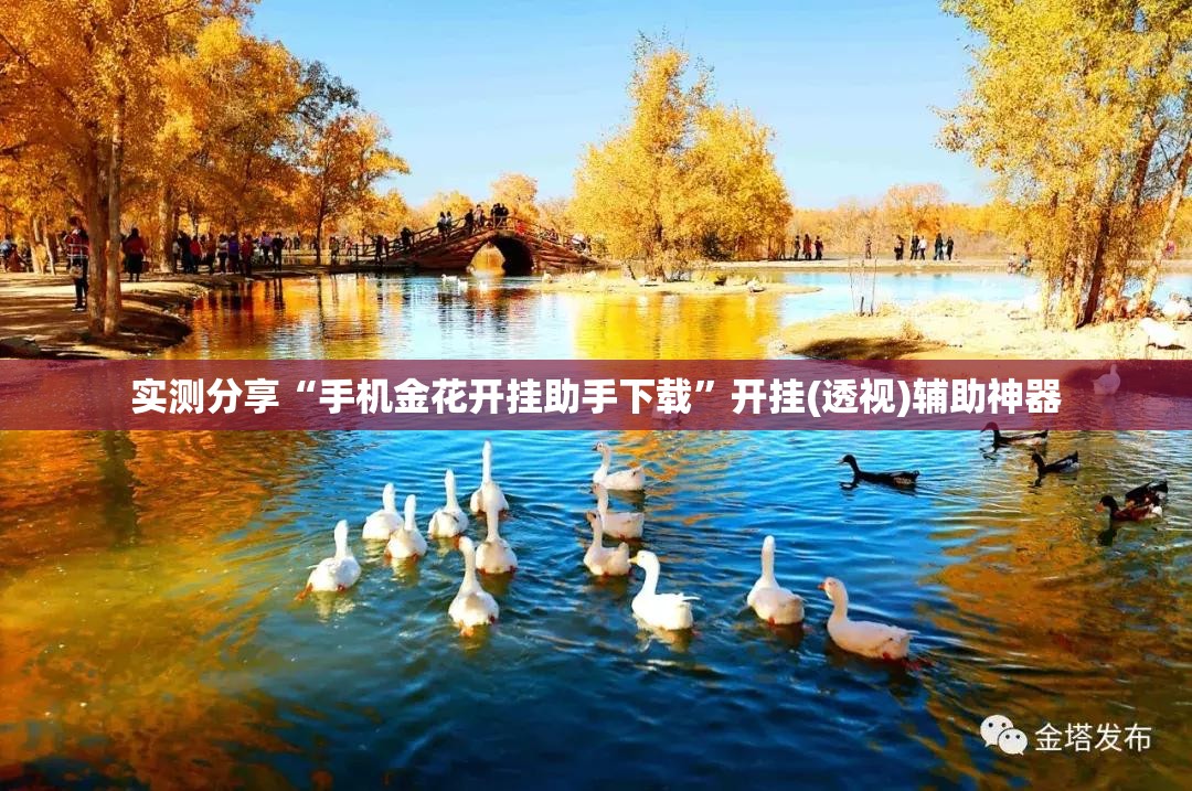 实测分享“手机金花开挂助手下载”开挂(透视)辅助神器