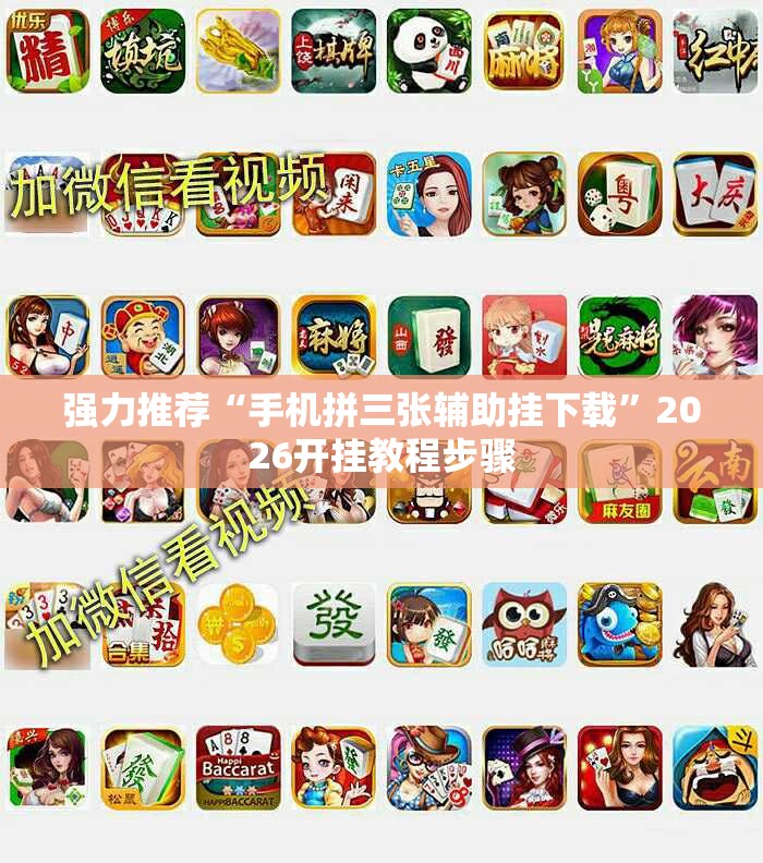 强力推荐“手机拼三张辅助挂下载”2026开挂教程步骤