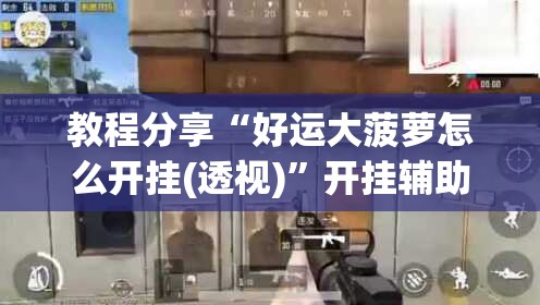 教程分享“好运大菠萝怎么开挂(透视)”开挂辅助脚本+详细开挂安装教程