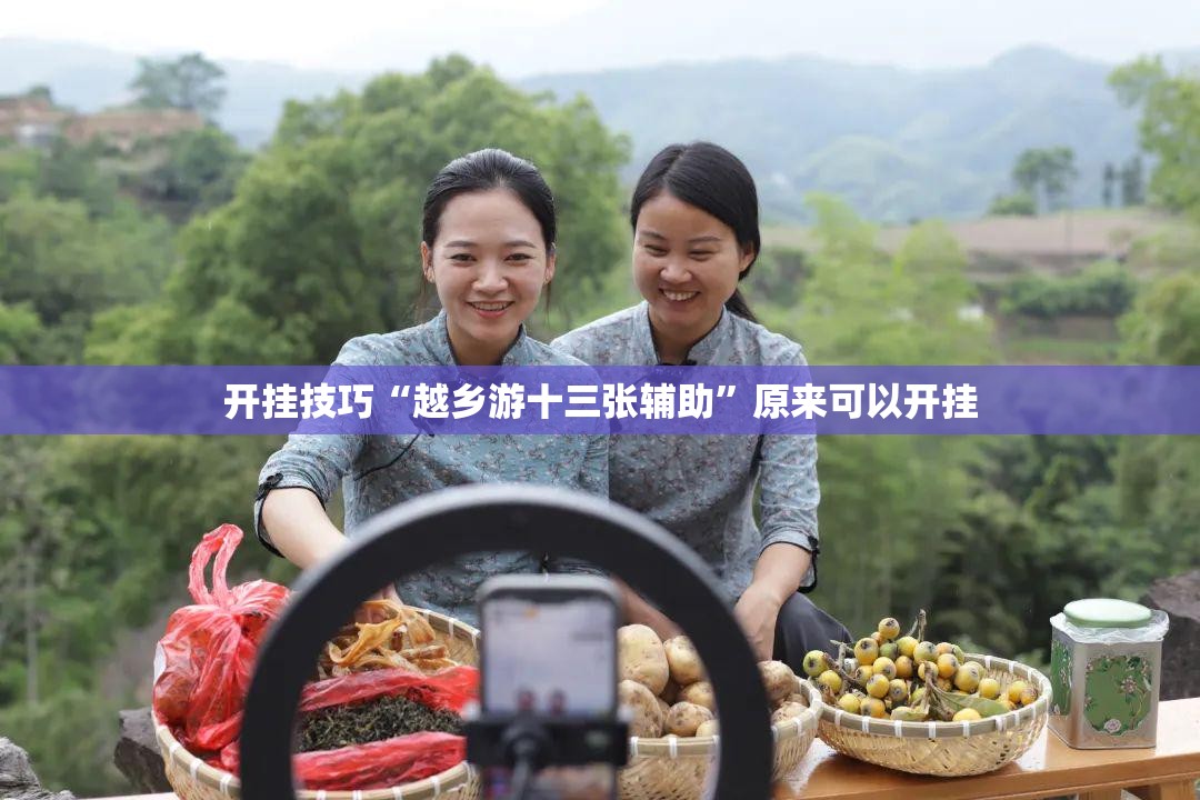 开挂技巧“越乡游十三张辅助”原来可以开挂