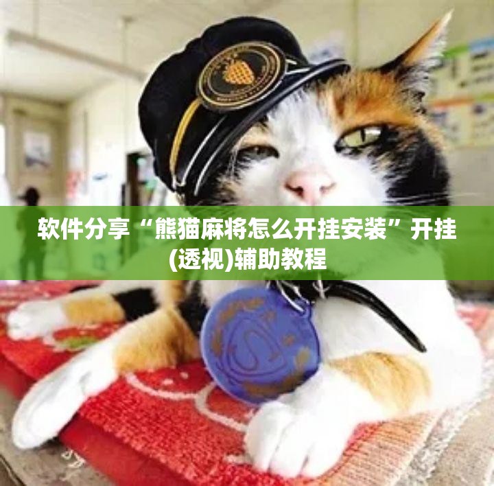 软件分享“熊猫麻将怎么开挂安装”开挂(透视)辅助教程