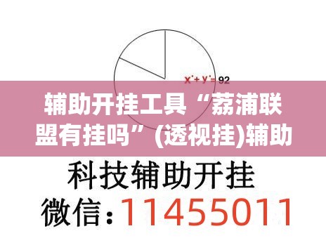 辅助开挂工具“荔浦联盟有挂吗”(透视挂)辅助下载教程