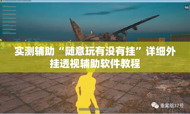 实测辅助“随意玩有没有挂	”详细外挂透视辅助软件教程
