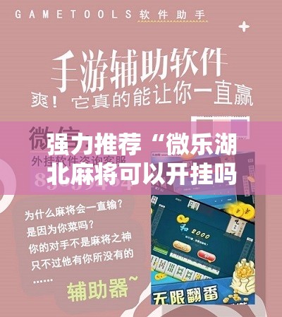 强力推荐“微乐湖北麻将可以开挂吗”细辅助教程分享
