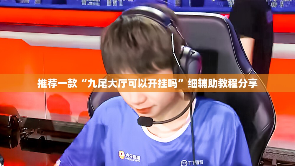 推荐一款“九尾大厅可以开挂吗”细辅助教程分享