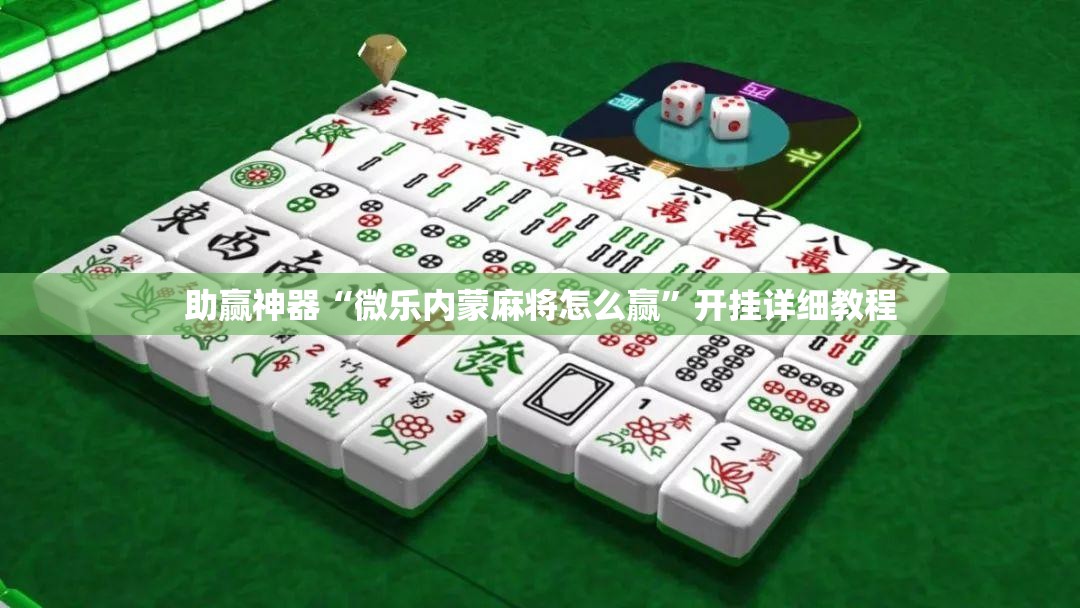 助赢神器“微乐内蒙麻将怎么赢”开挂详细教程