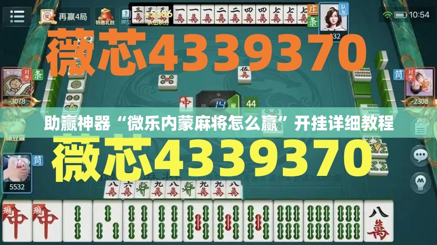 助赢神器“微乐内蒙麻将怎么赢”开挂详细教程