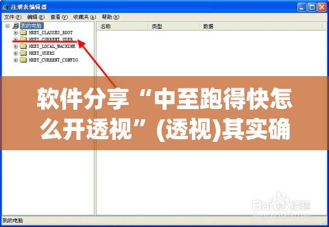 软件分享“中至跑得快怎么开透视”(透视)其实确实有挂