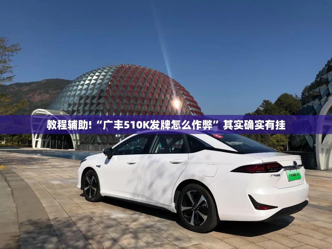 教程辅助!“广丰510K发牌怎么作弊”其实确实有挂