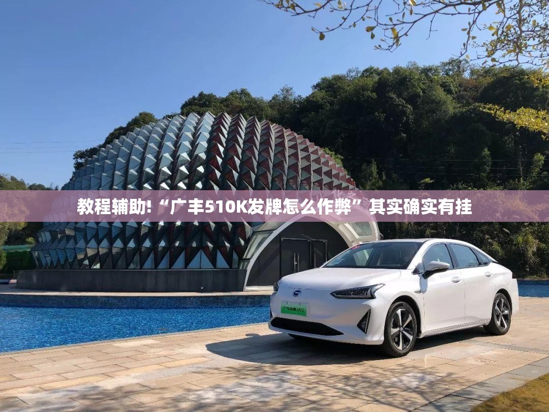 教程辅助!“广丰510K发牌怎么作弊”其实确实有挂