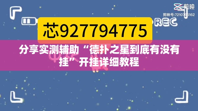 分享实测辅助“德扑之星到底有没有挂”开挂详细教程