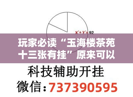 玩家必读“玉海楼茶苑十三张有挂	”原来可以开挂