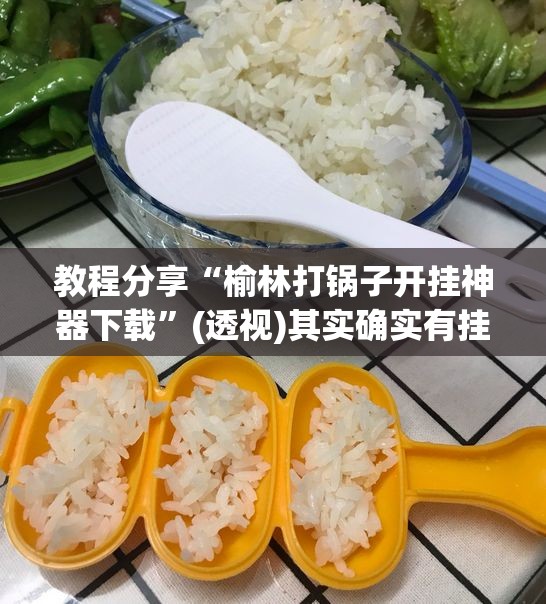 教程分享“榆林打锅子开挂神器下载”(透视)其实确实有挂