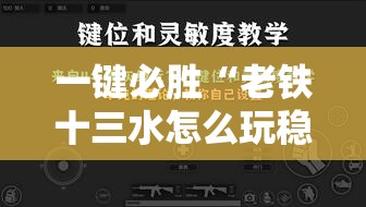 一键必胜“老铁十三水怎么玩稳赢”详细外挂透视辅助软件教程
