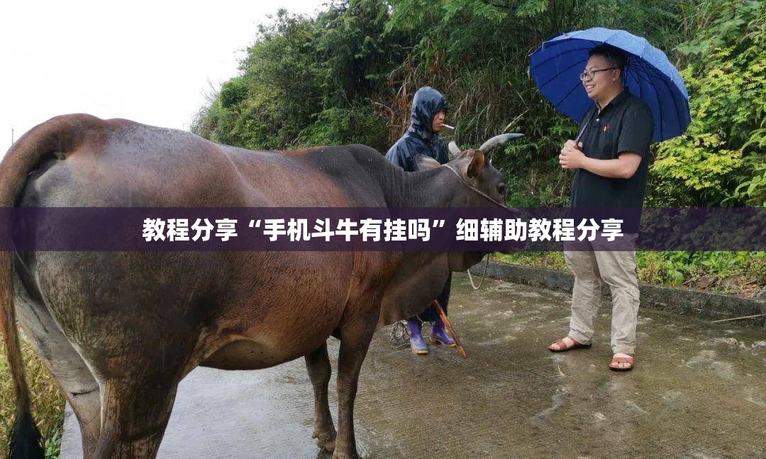 教程分享“手机斗牛有挂吗”细辅助教程分享
