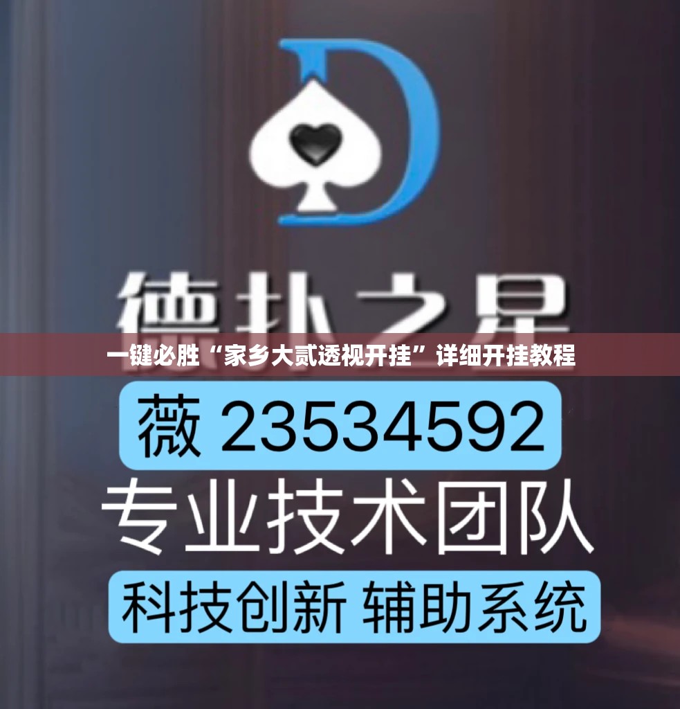 一键必胜“家乡大贰透视开挂”详细开挂教程