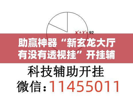 助赢神器“新玄龙大厅有没有透视挂”开挂辅助脚本+详细开挂安装教程