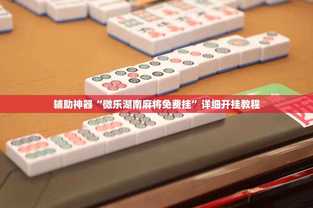 辅助神器“微乐湖南麻将免费挂”详细开挂教程