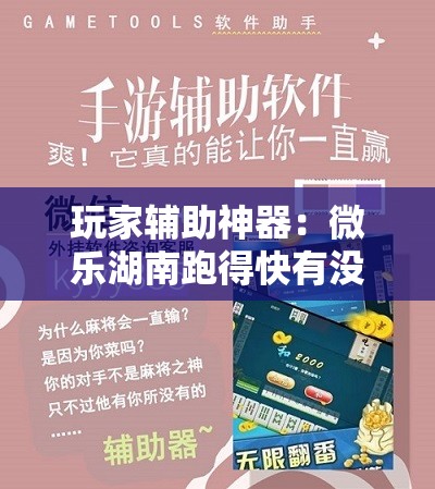 玩家辅助神器：微乐湖南跑得快有没有开挂神器”细辅助教程分享