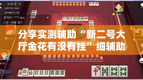 分享实测辅助“新二号大厅金花有没有挂”细辅助教程分享