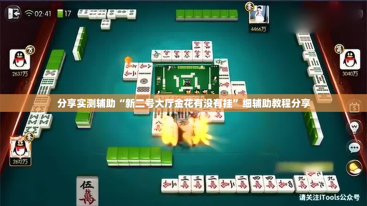 分享实测辅助“新二号大厅金花有没有挂”细辅助教程分享
