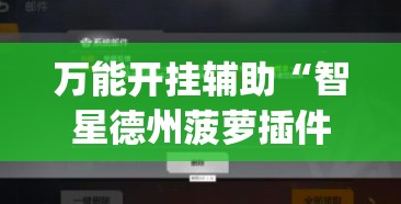 万能开挂辅助“智星德州菠萝插件教程”(透视)其实确实有挂