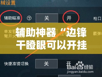 辅助神器“边锋干瞪眼可以开挂吗”详细开挂教程