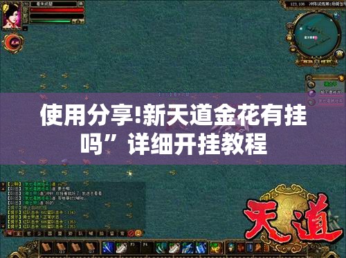 使用分享!新天道金花有挂吗”详细开挂教程