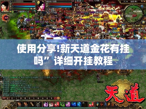 使用分享!新天道金花有挂吗”详细开挂教程