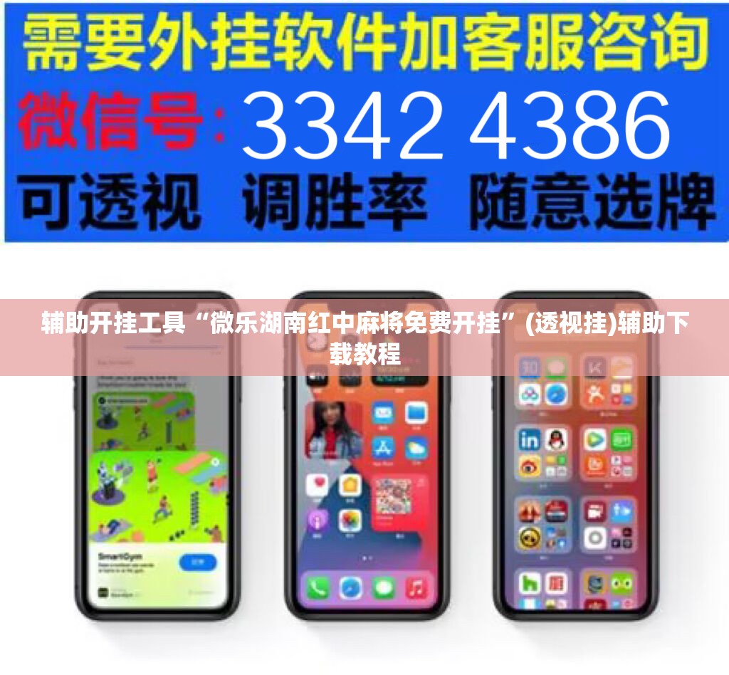 辅助开挂工具“微乐湖南红中麻将免费开挂	”(透视挂)辅助下载教程