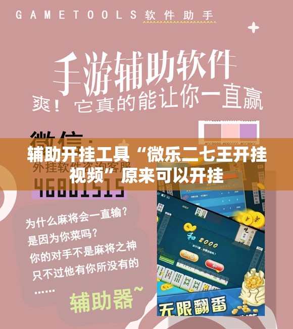 辅助开挂工具“微乐二七王开挂视频	”原来可以开挂