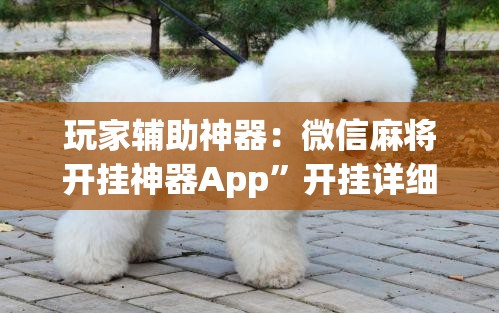 玩家辅助神器：微信麻将开挂神器App	”开挂详细教程