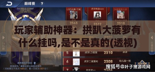 玩家辅助神器：拱趴大菠萝有什么挂吗,是不是真的(透视)”开挂辅助脚本+详细开挂安装教程