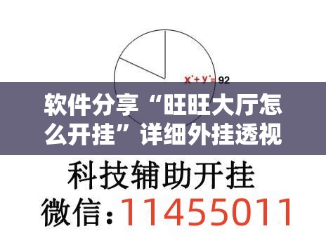 软件分享“旺旺大厅怎么开挂”详细外挂透视辅助软件教程