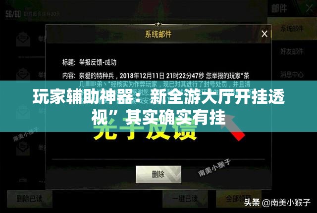 玩家辅助神器：新全游大厅开挂透视	”其实确实有挂
